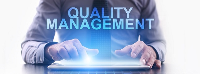 The Pharmacovigilance Quality Management System